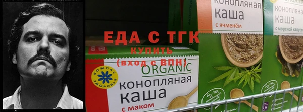 гашик Алзамай