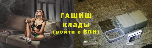 хмурый Алексин