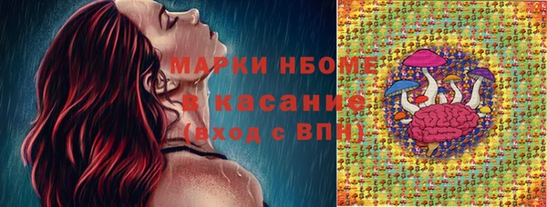 хмурый Алексин
