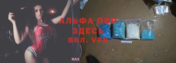 хмурый Алексин