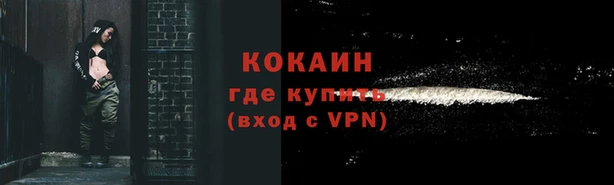 гашик Алзамай