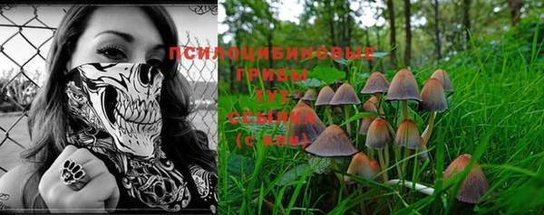 хмурый Алексин