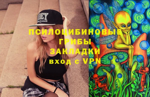гашик Алзамай