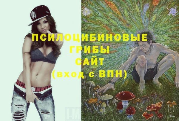 хмурый Алексин