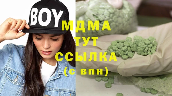 хмурый Алексин