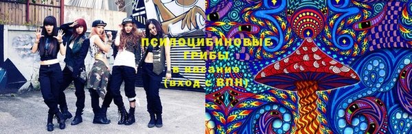 гашик Алзамай