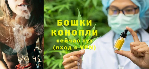 крисы Абаза