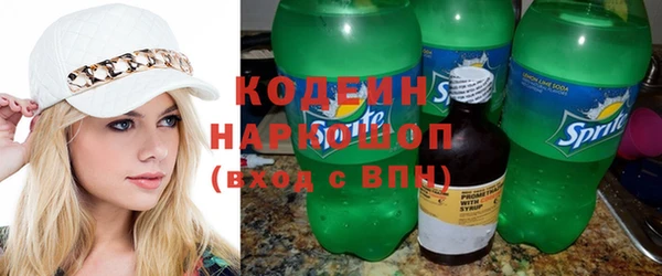 гашик Алзамай