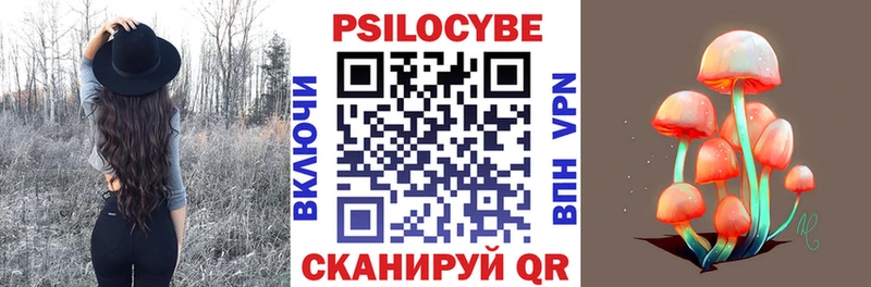 Галлюциногенные грибы MAGIC MUSHROOMS  хочу наркоту  Волжский 